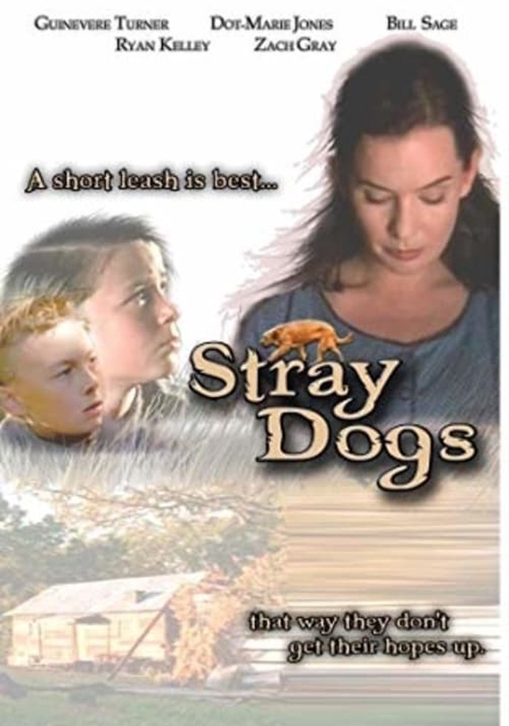 Stray Dogs streaming where to watch movie online?